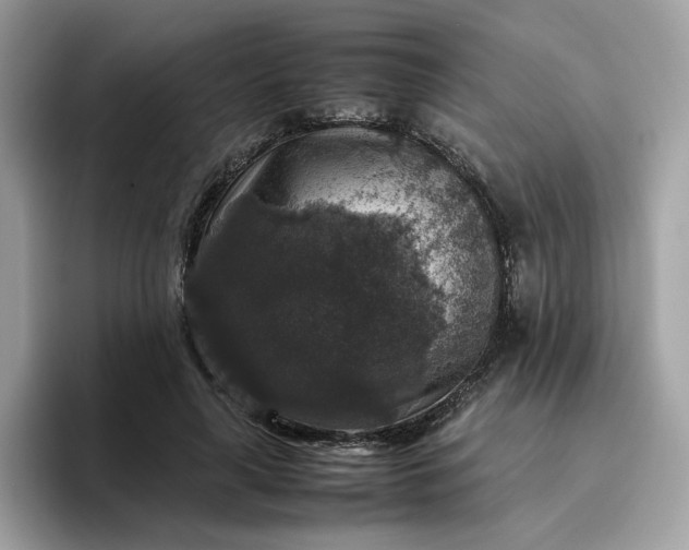 X0000095950643200801251131