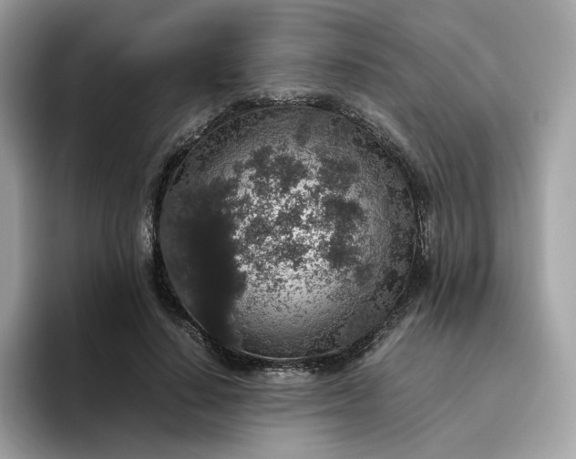 X0000095950644200801251131