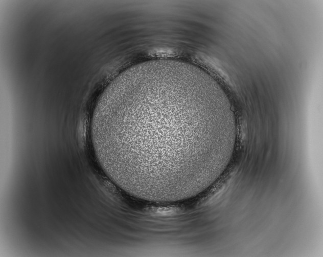 X0000095950645200801251131