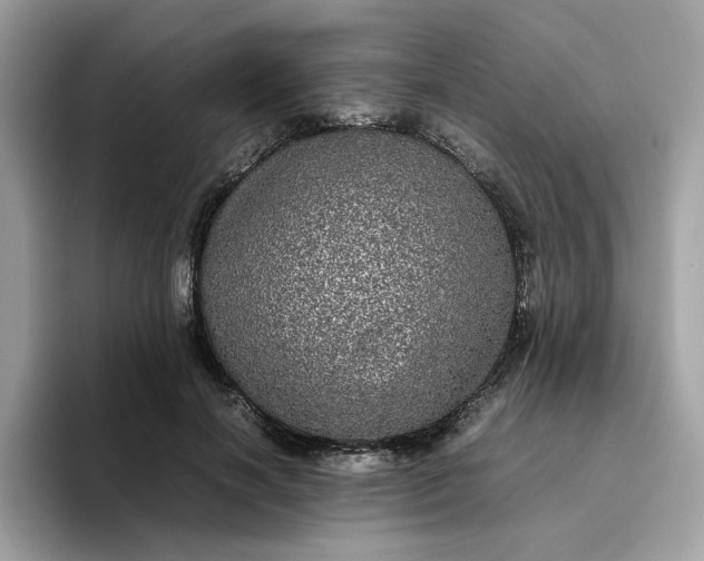 X0000095950646200801251131