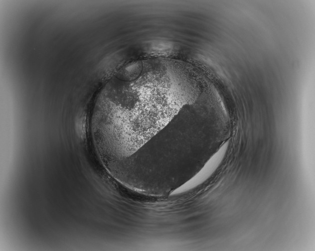 X0000095950647200801251131