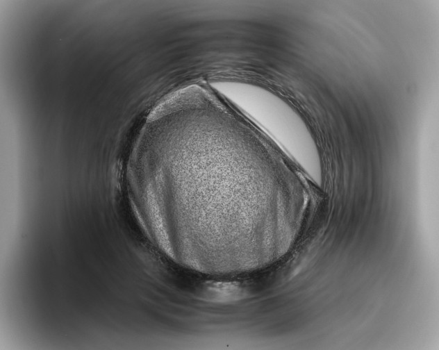 X0000095950649200801251131