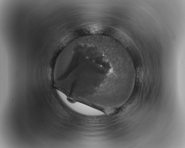 X0000095950650200801251131