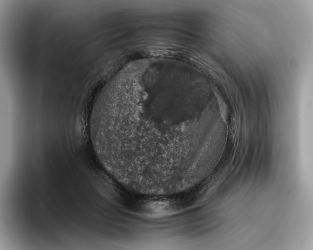 X0000095950653200801251131