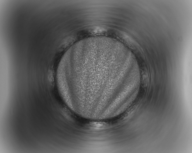 X0000095950654200801251131