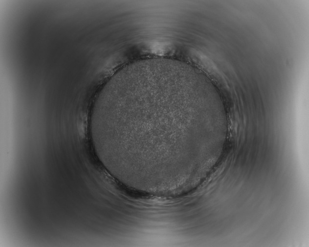 X0000095950656200801251131