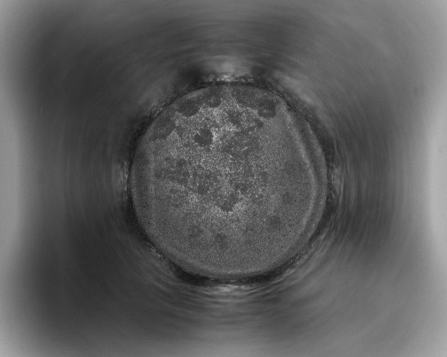 X0000095950657200801251131