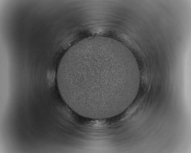 X0000095950660200801251131