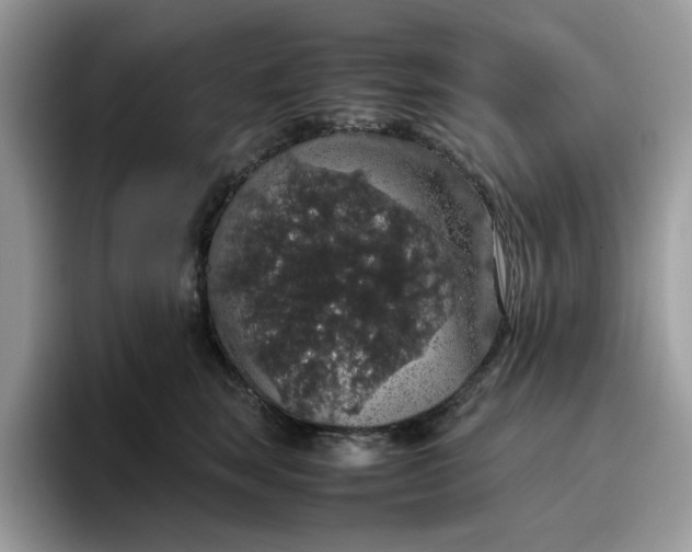 X0000095950663200801251131