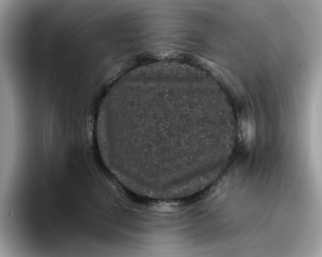 X0000095950664200801251131