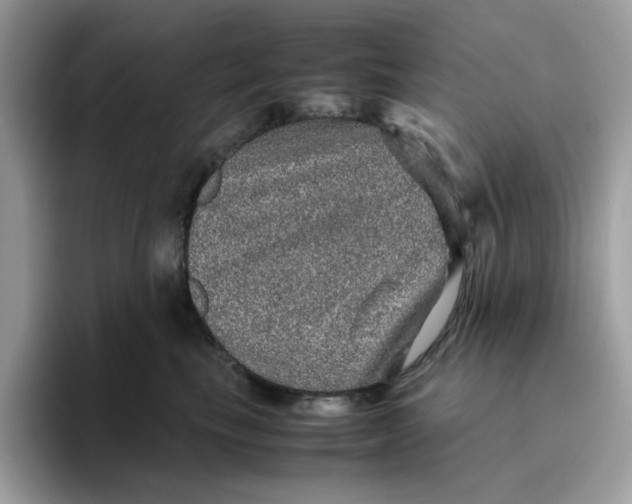 X0000095950665200801251131