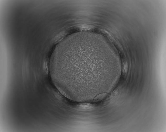 X0000095950666200801251131