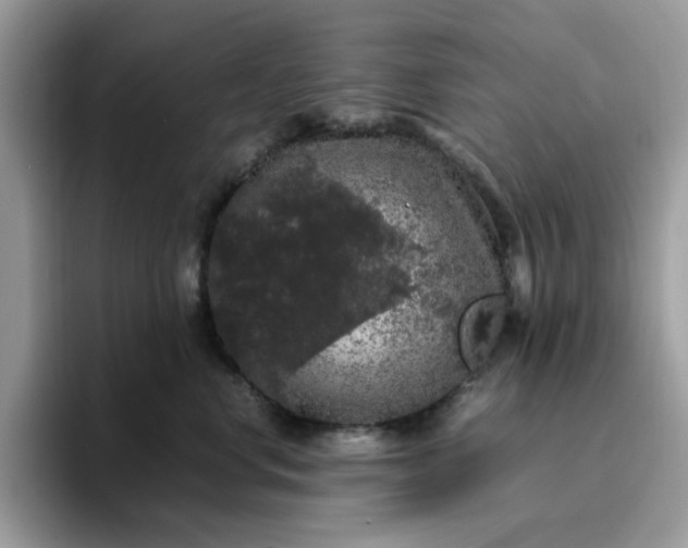 X0000095950668200801251131