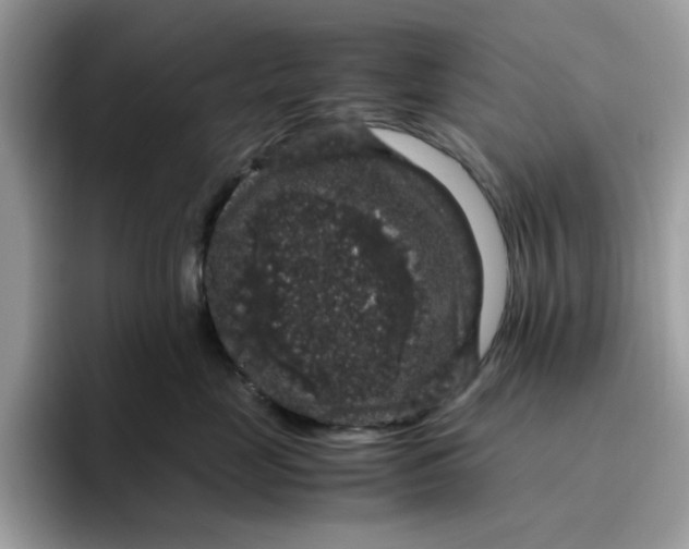 X0000095950669200801251131