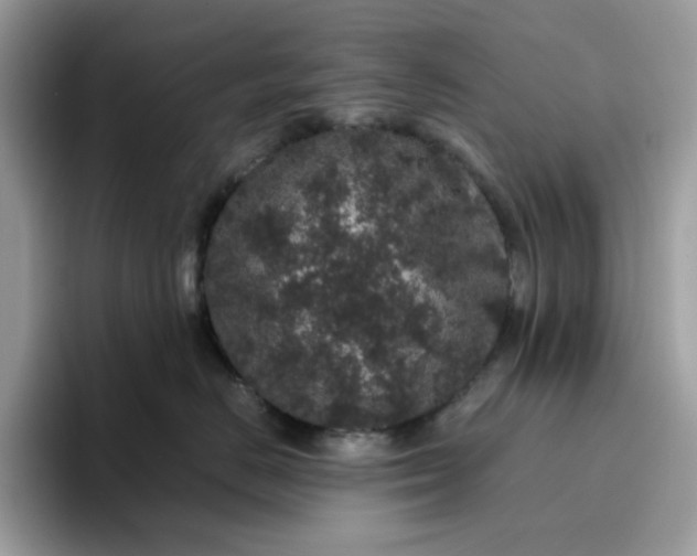 X0000095950670200801251131