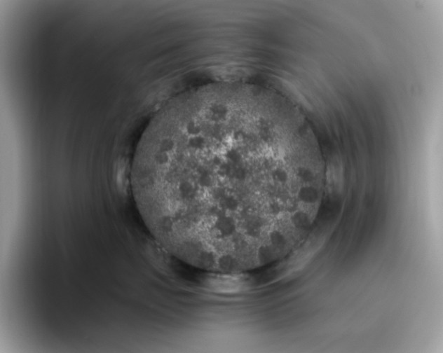 X0000095950671200801251131