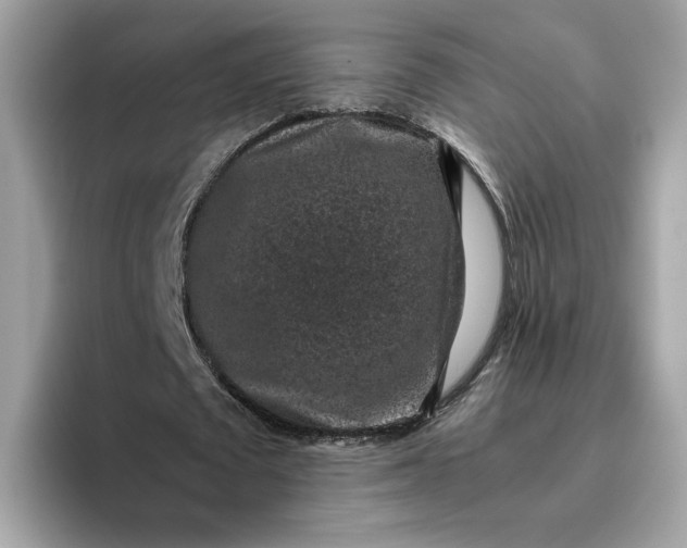 X0000095950673200801251130