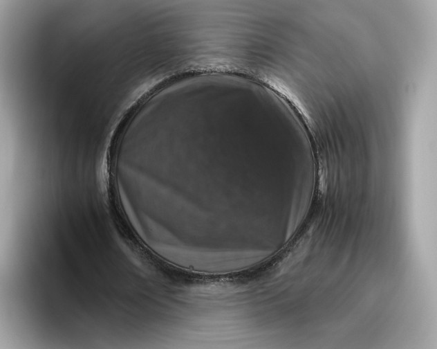 X0000095950674200801251130