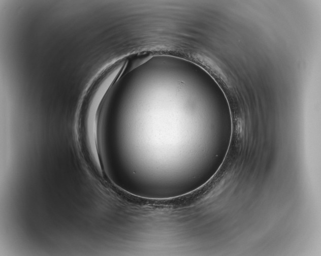 X0000095950676200801251130