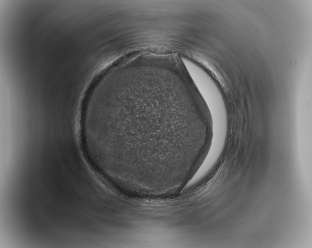 X0000095950677200801251130