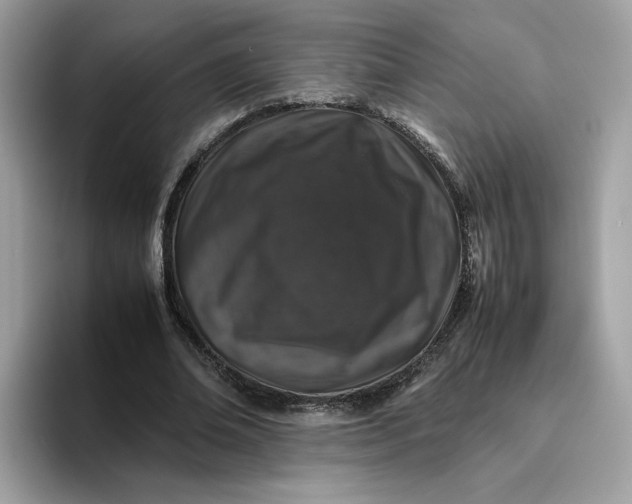 X0000095950678200801251130