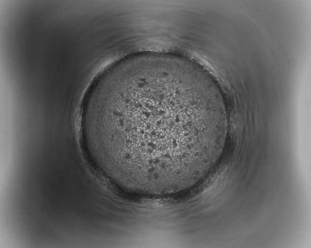 X0000095950679200801251130