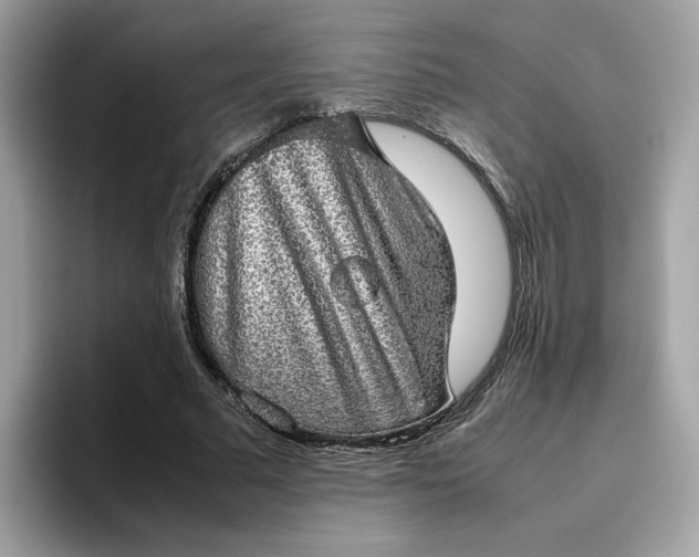 X0000095950681200801251130