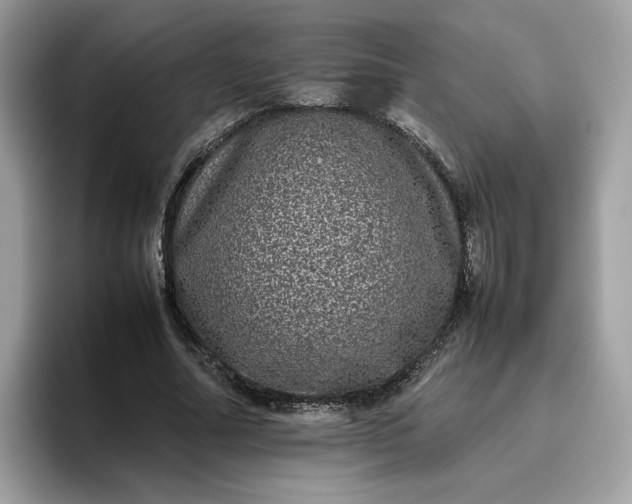 X0000095950682200801251130