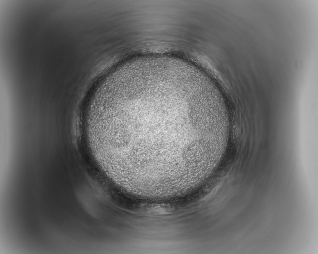 X0000095950683200801251130