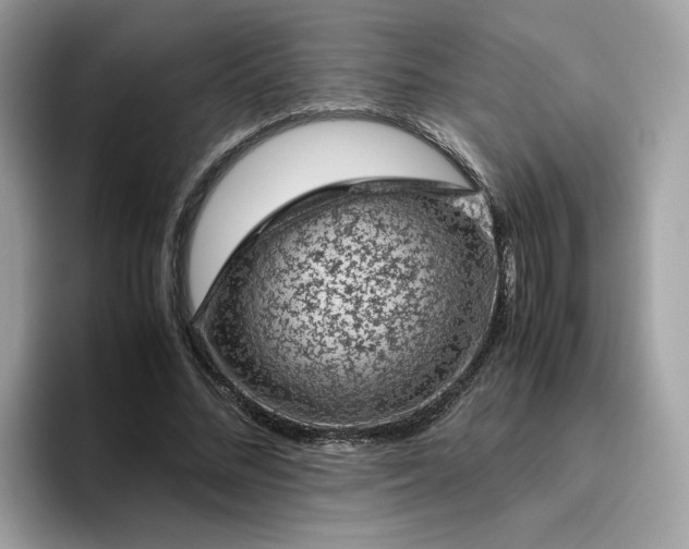 X0000095950684200801251130