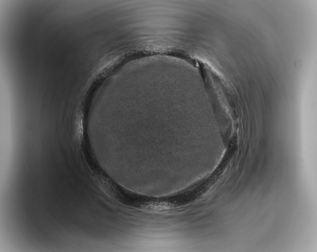 X0000095950685200801251130