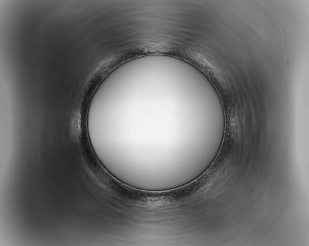 X0000095950686200801251130