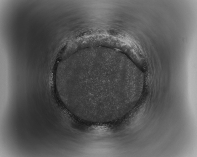 X0000095950689200801251130