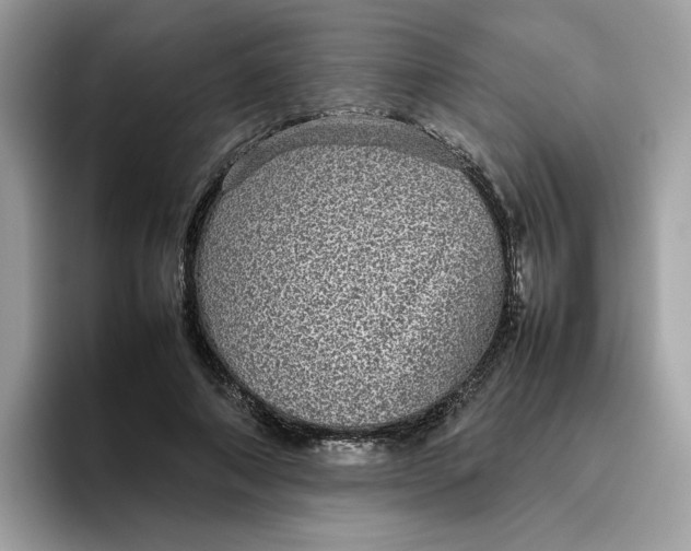 X0000095950690200801251130