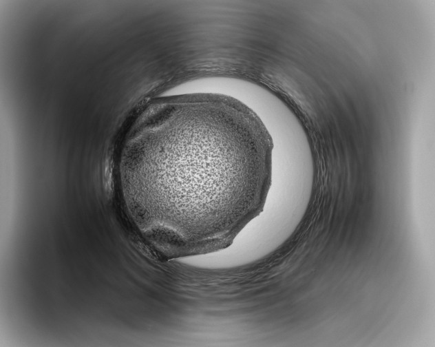 X0000095950692200801251130