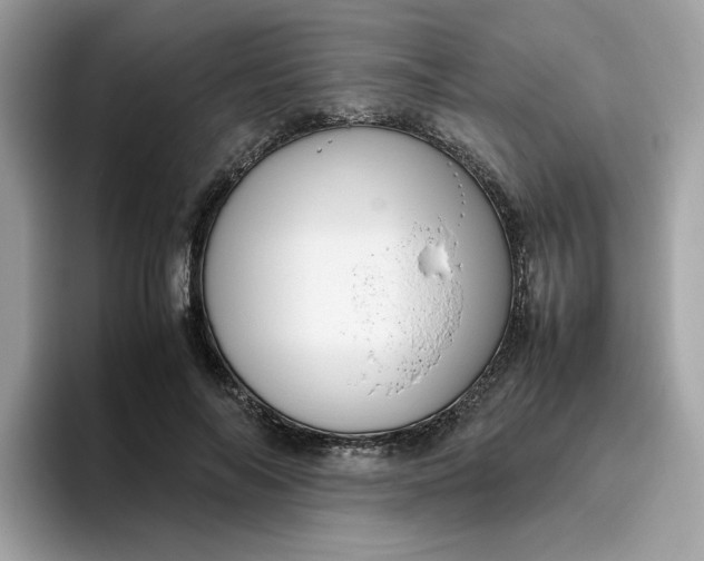 X0000095950694200801251130