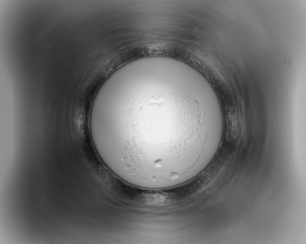 X0000095950698200801251130