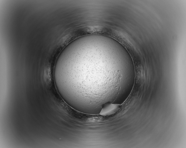 X0000095950700200801251130