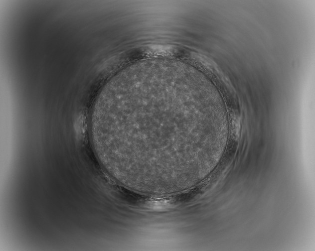 X0000095950701200801251130