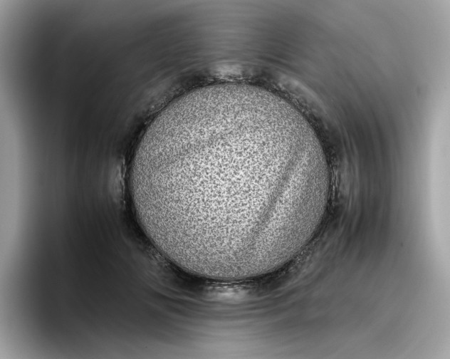 X0000095950702200801251130