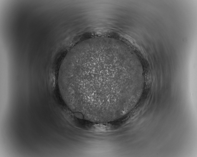 X0000095950703200801251130