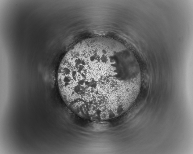 X0000095950707200801251130