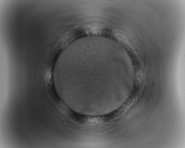 X0000095950709200801251130