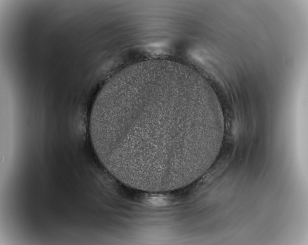 X0000095950710200801251130