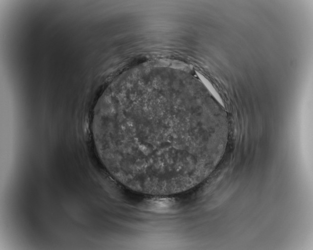 X0000095950711200801251130