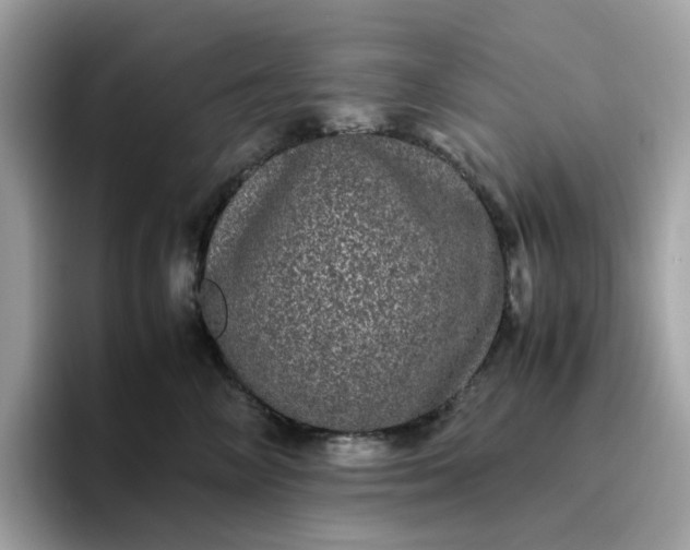 X0000095950714200801251130