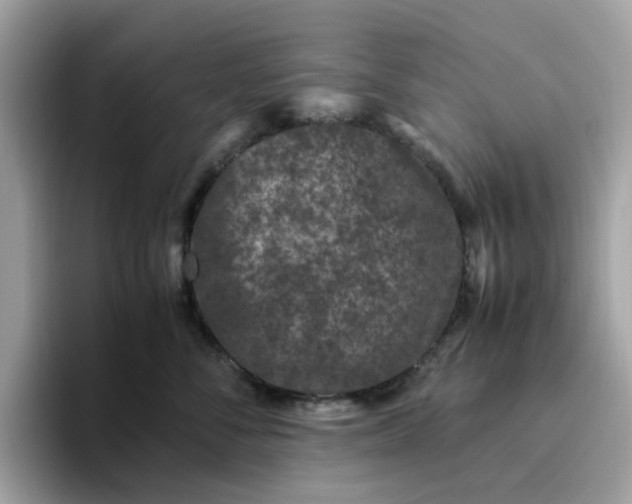 X0000095950716200801251130