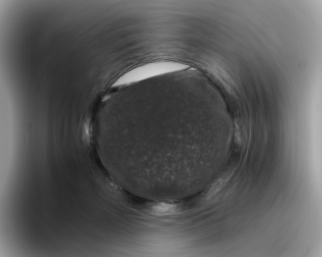 X0000095950718200801251130