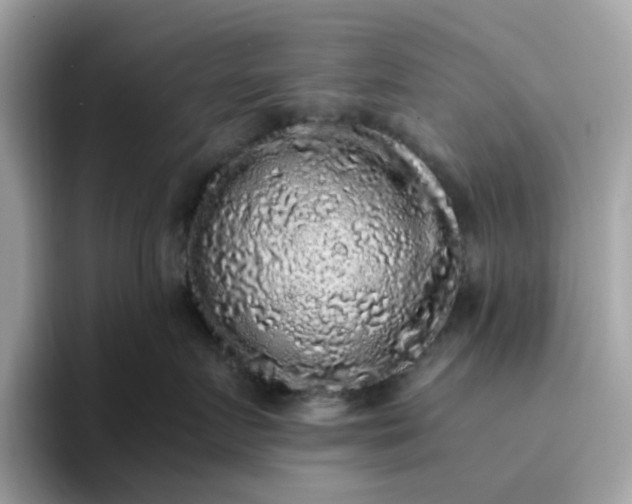 X0000095950719200801251130