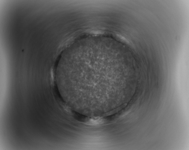 X0000095950720200801251130